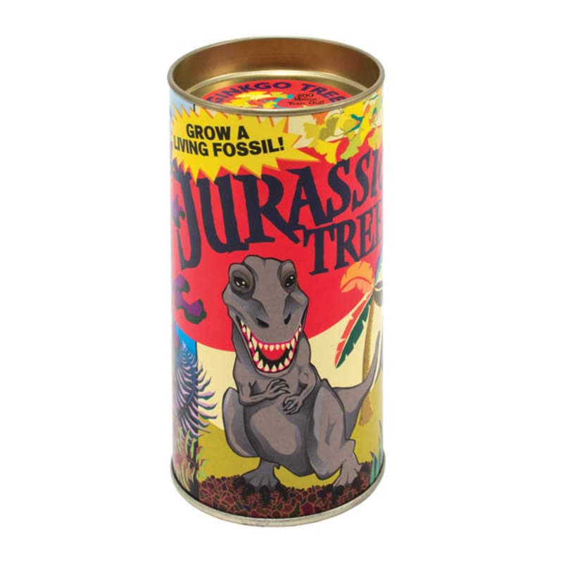 Jurassic Gingko Grow-A-Tree Kit