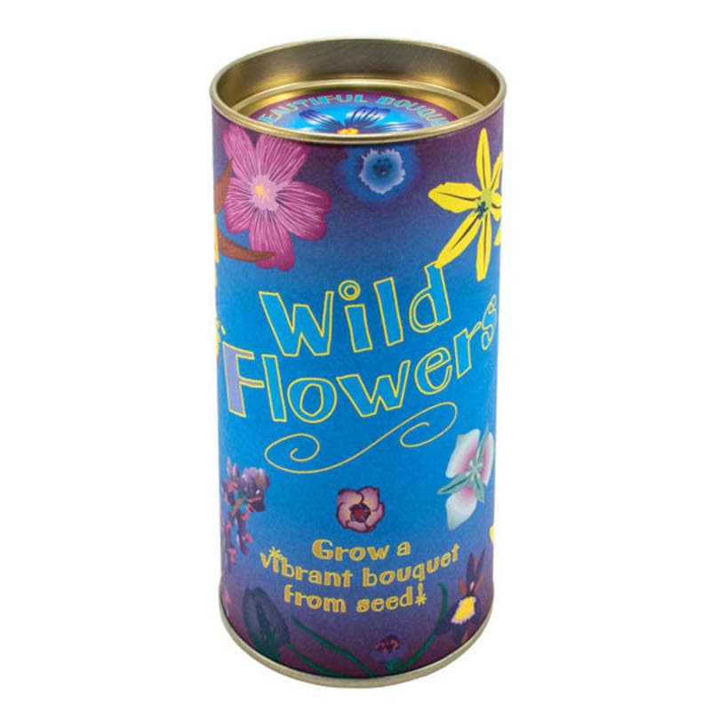 Wild Flowers Grow-A-Tree Kit