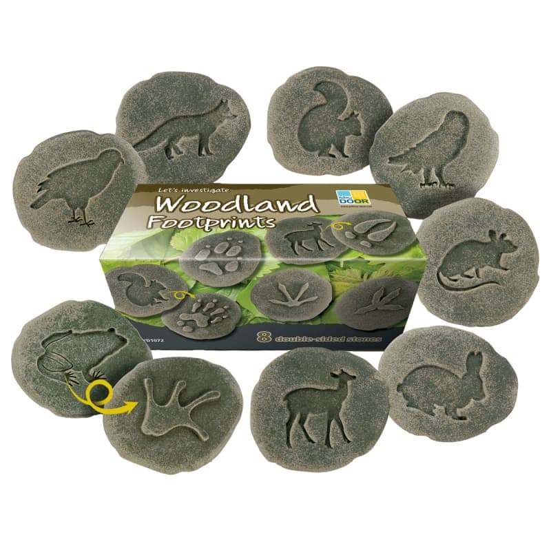 Let's Investigate - Woodland Footprints