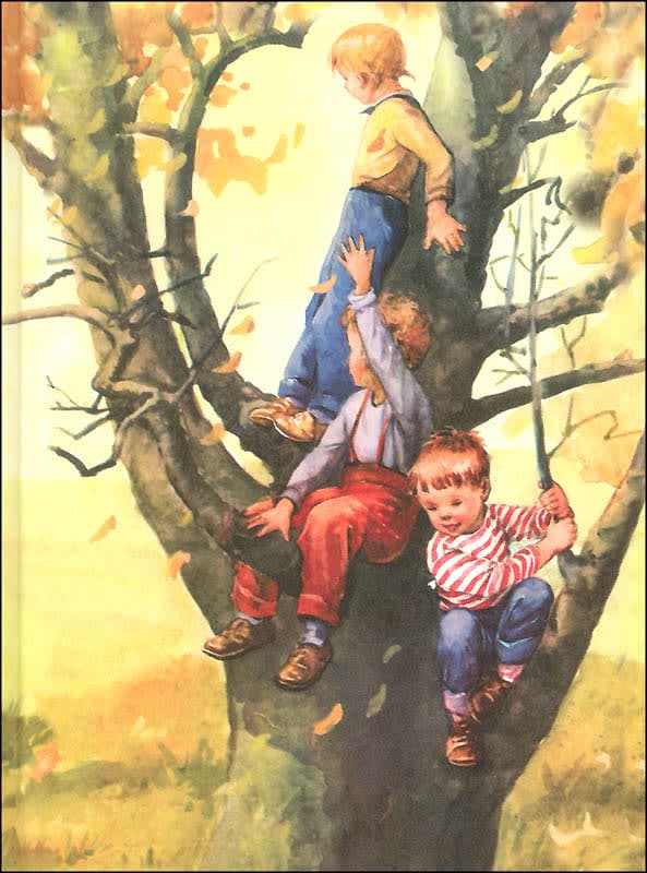 Round About Grade 1 Book 6 (Alice and Jerry Basic
