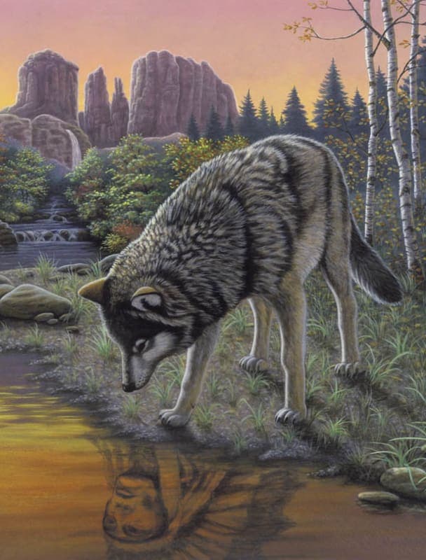 Painting By Numbers - Reflections (Junior Small)