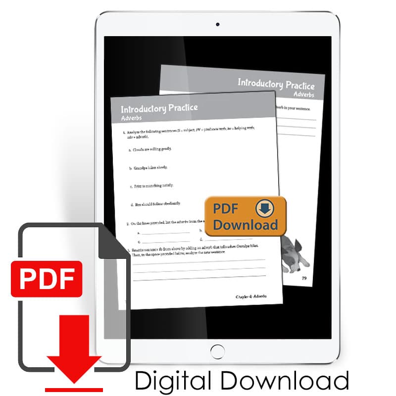 Well-Ordered Language Level 1A Extra Practice &