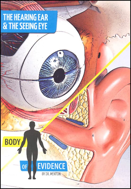 Body of Evidence 8: Hearing Ear & the Seeing Eye