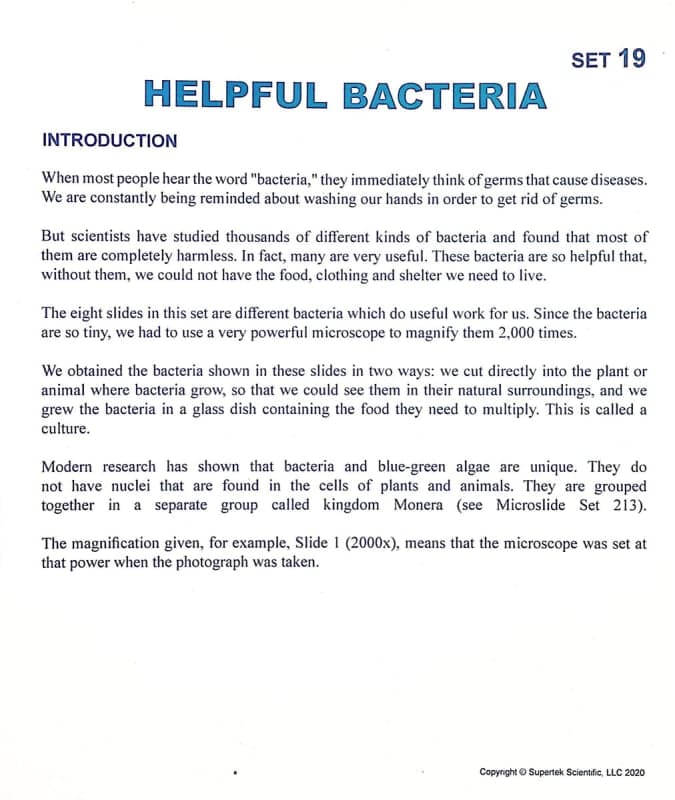 Helpful Bacteria Microslide Lesson Set