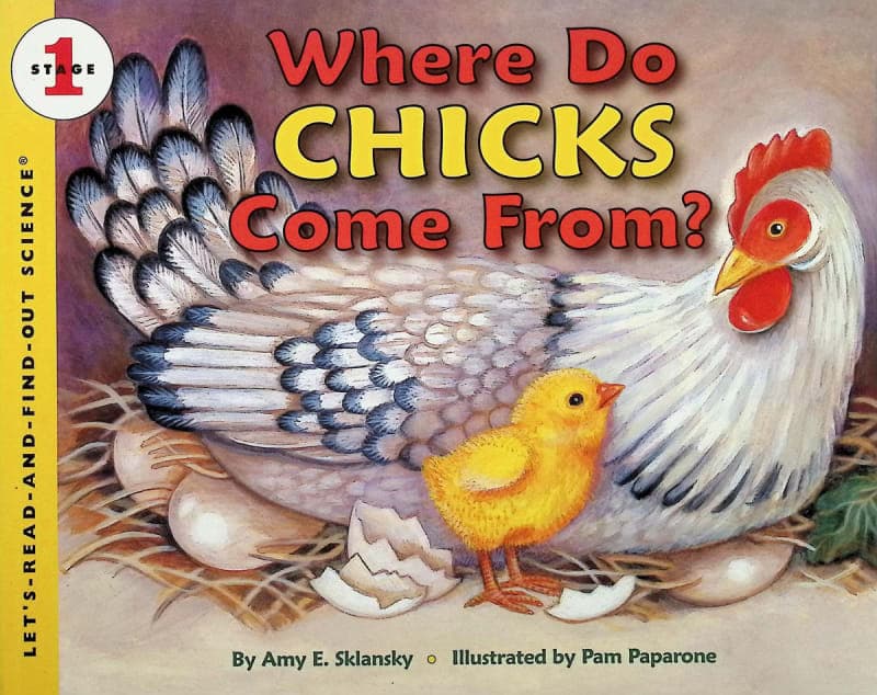Where Do Chicks Come From? (LRAFOS Level1)