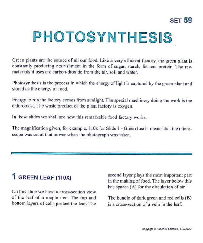 Photosynthesis Microslide Lesson Set