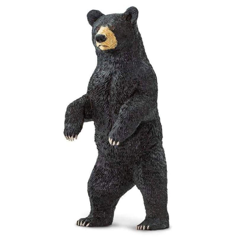 Black Bear (Wild Safari North American Wildlife)
