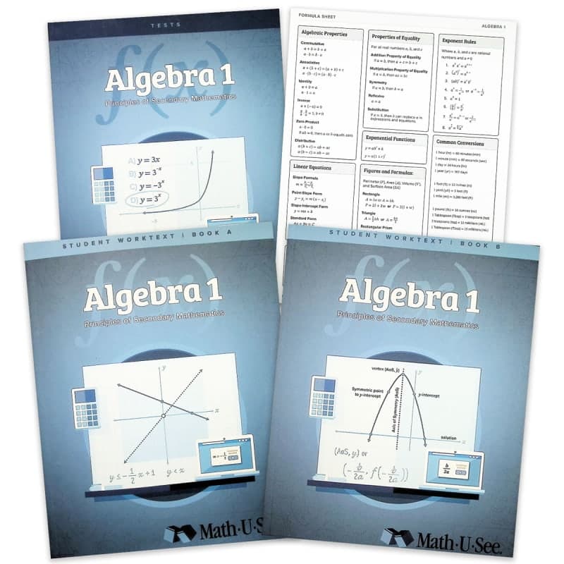 Math-U-See Algebra I Principles of Secondary