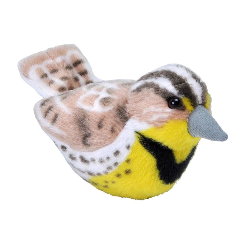 Audubon Bird: Western Meadowlark With Real Bird