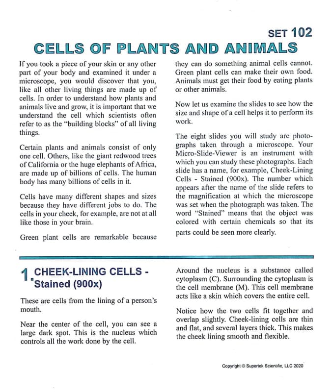 Cells of Plants and Animals Microslide Set