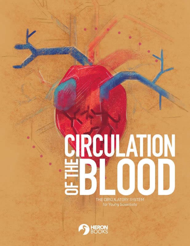 Circulation of the Blood - Circulatory System for