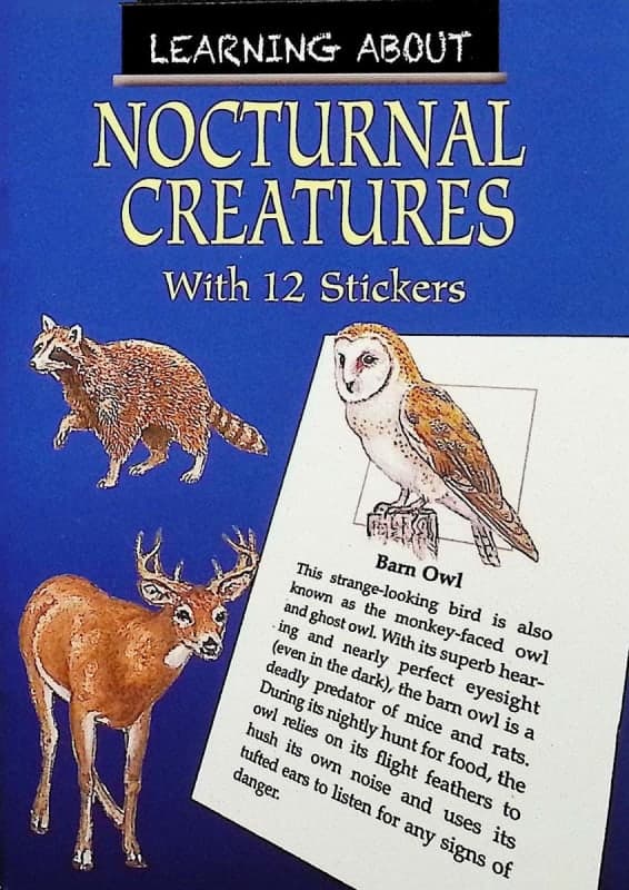 Learning About Nocturnal Creatures