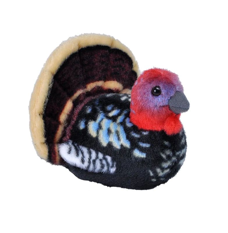 Audubon Bird: Wild Turkey with Bird Call