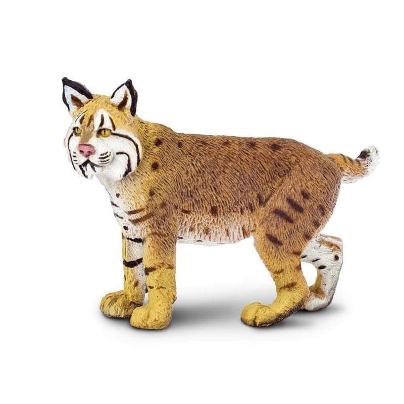 Bobcat (Wild Safari North American Wildlife)