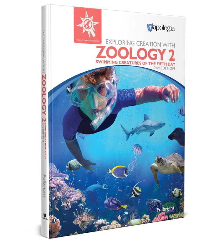 Exploring Creation with Zoology 2: Swimming