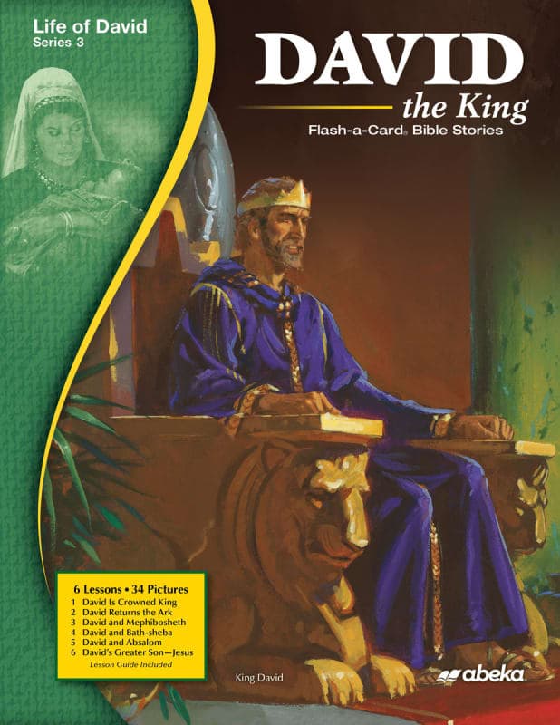 David the King Flash-a-Card Bible Stories,