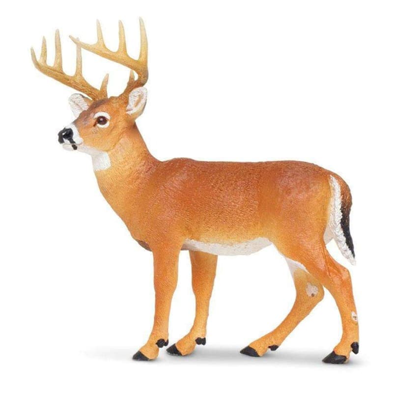 Whitetail Buck (Wild Safari North American