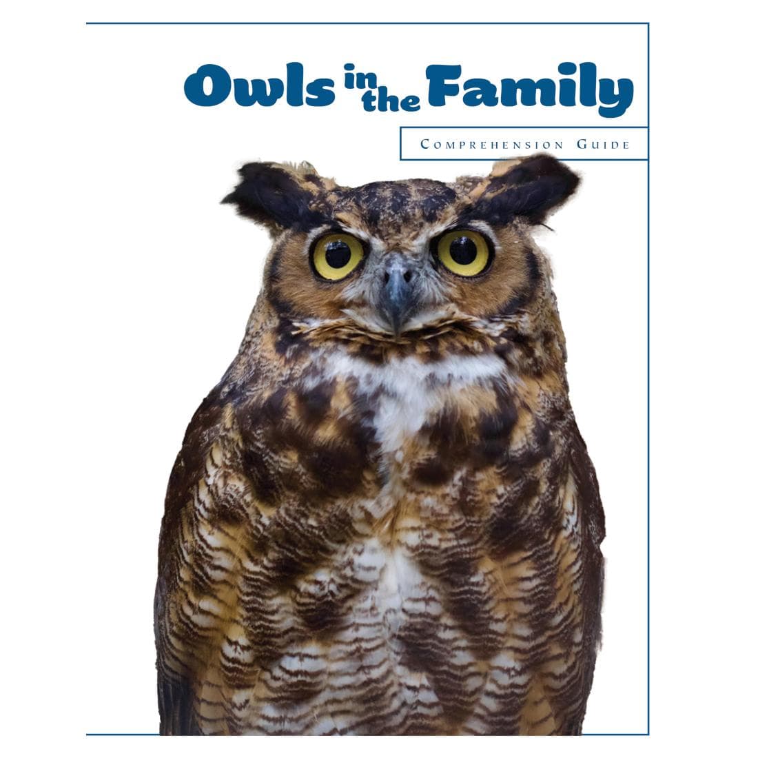 Owls in the Family Comprehension Guide