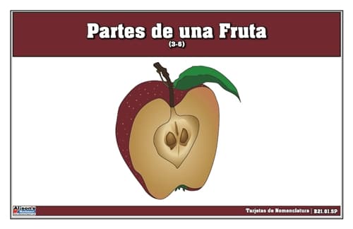Tarjetas Nomenclatura Partes de una Fruta 3-6