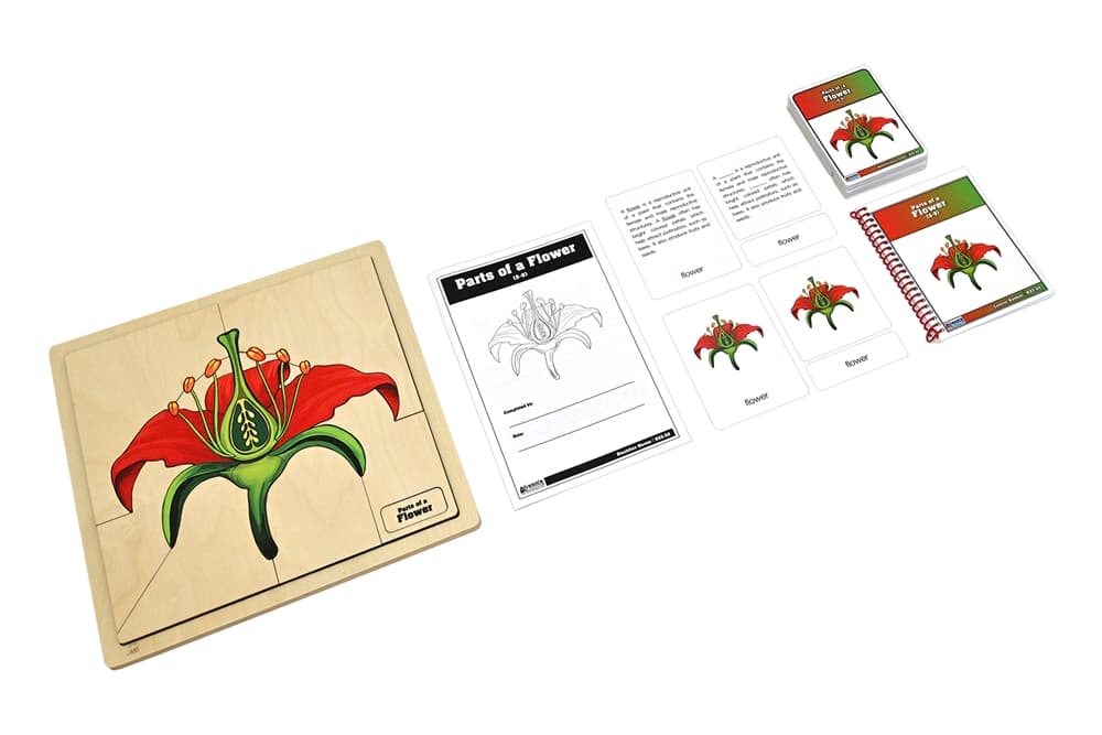 Parts of a Flower Puzzle and Cards (Printed) (6-9)