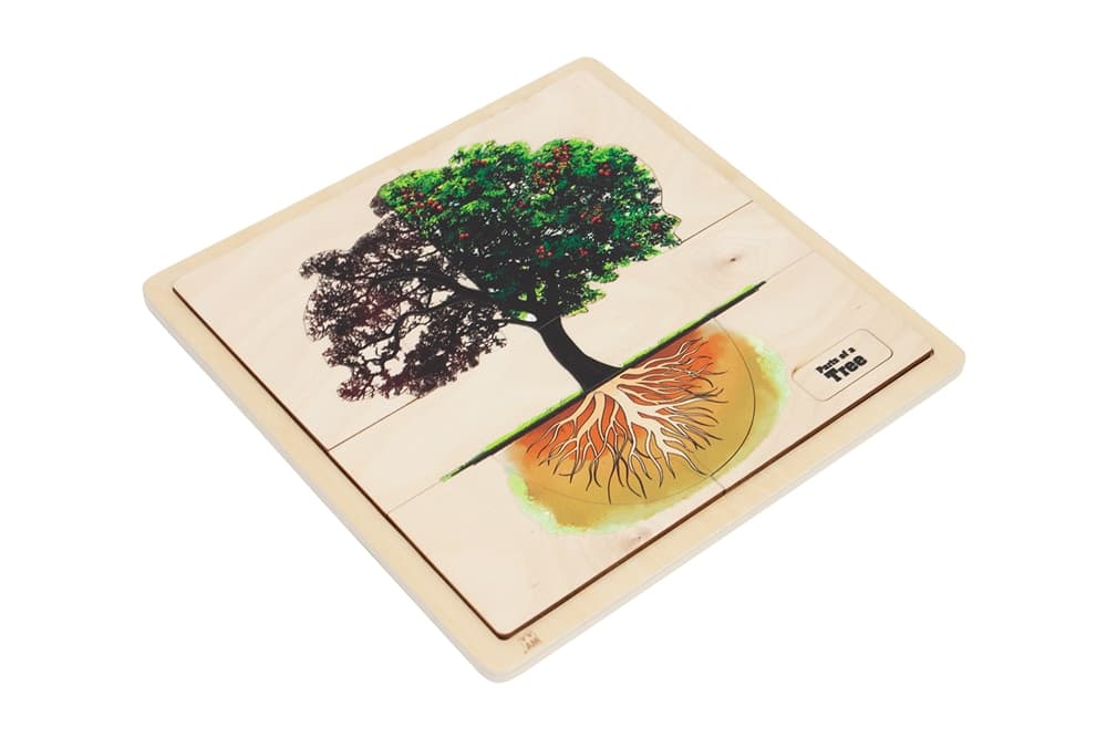 Parts of a Tree Puzzle (Premium Quality)