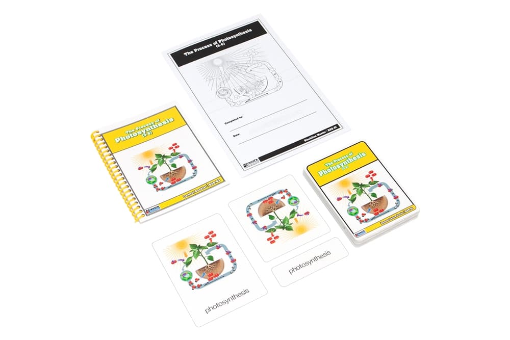 Photosynthesis Nomenclature Cards (3–6)