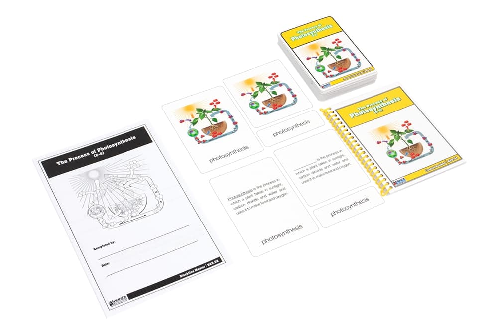 Photosynthesis Process Nomenclature Cards 6–9