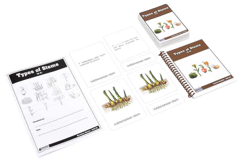 Types of Stems Nomenclature Cards 6-9
