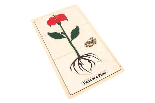 Part of a Plant Puzzle and Cards 3-6