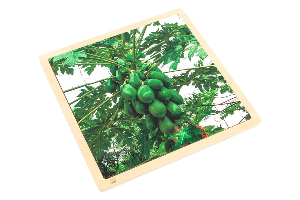 Papaya - Jigsaw Puzzle (36 Pieces)