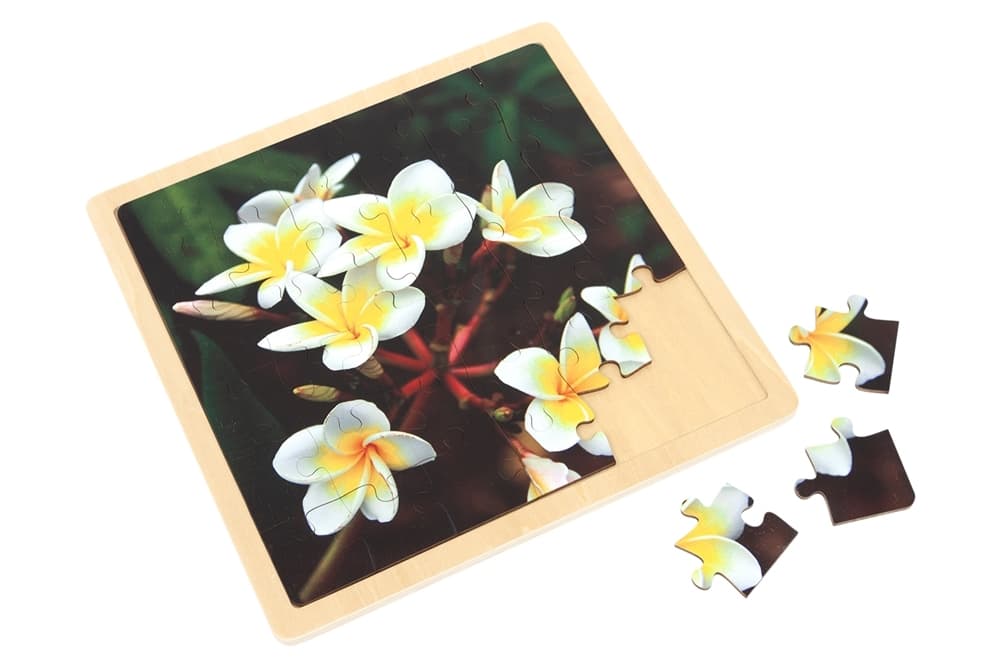 Plumeria - Jigsaw Puzzle (36 Pieces)