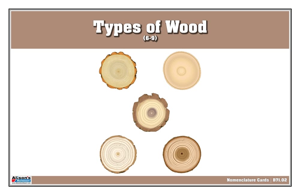 Types of Wood Nomenclature Cards 6-9