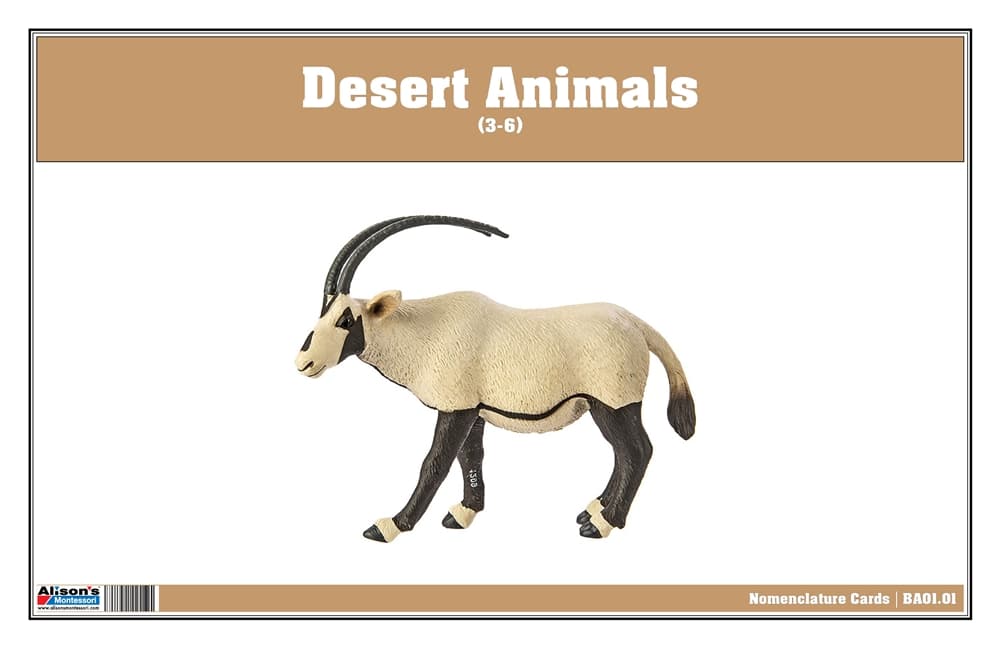 Desert Animals Nomenclature Cards