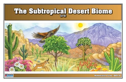 Subtropical Desert Nomenclature Cards 3–6
