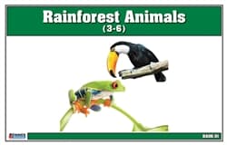 Rainforest Animals Nomenclature Cards
