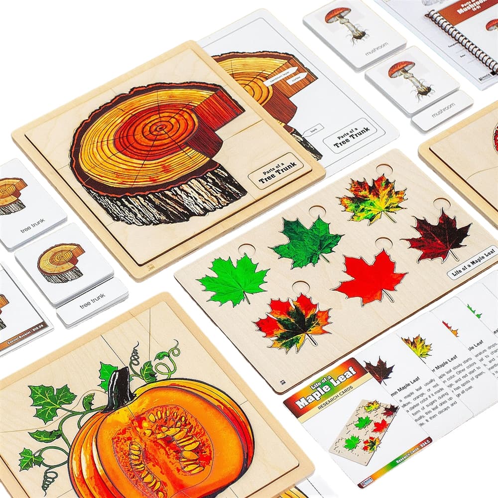 Fall Nature Study - Set