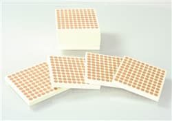 10 Wooden Hundred Squares