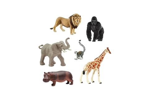 Collection of all Animals of the World