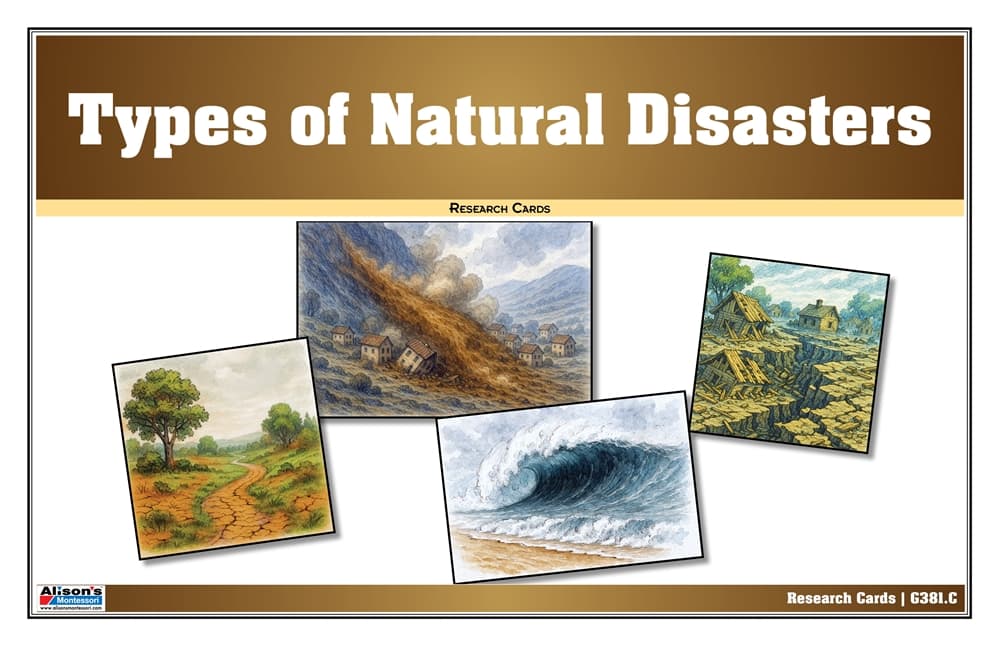 Types of Natural Disasters Research Cards