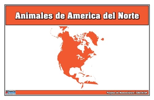 Nomenclatura: Animales de América del Norte