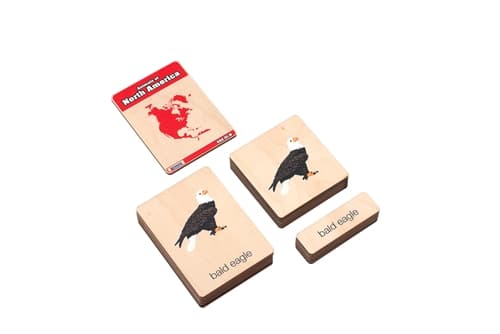 North America Animal Nomenclature (3–6)