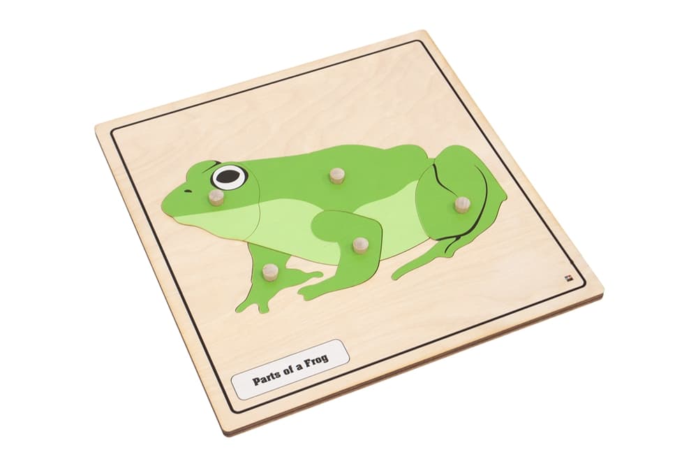 Parts of a Frog Knobbed Puzzle