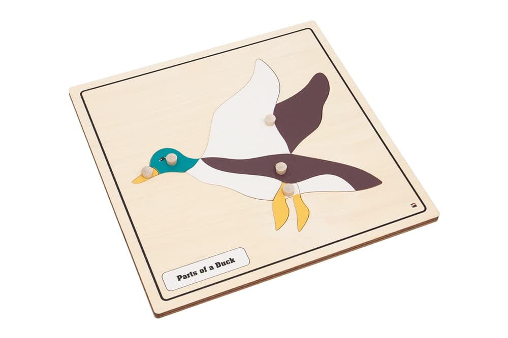 Parts of a Duck Knobbed Puzzle