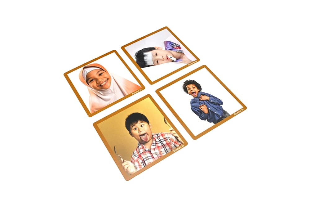 Emotions Laminate & Cut