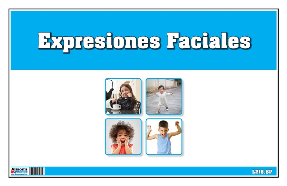 Expresiones Faciales