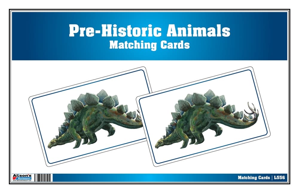 Picture Matching Cards - Pre-Historic Animals