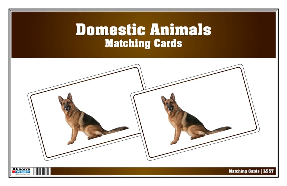 Picture Matching Cards - Domesticated Animals