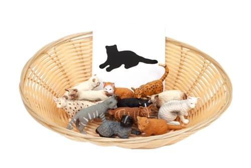 Object to Silhouette Matching: Domestic Cats
