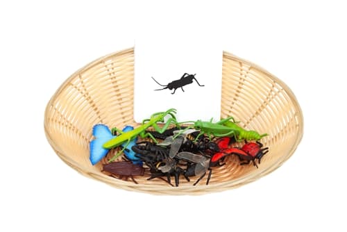 Object to Silhouette Matching: Insects
