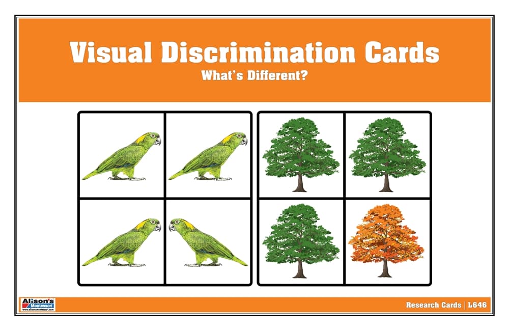 Visual Discrimination Cards: What’s Different?